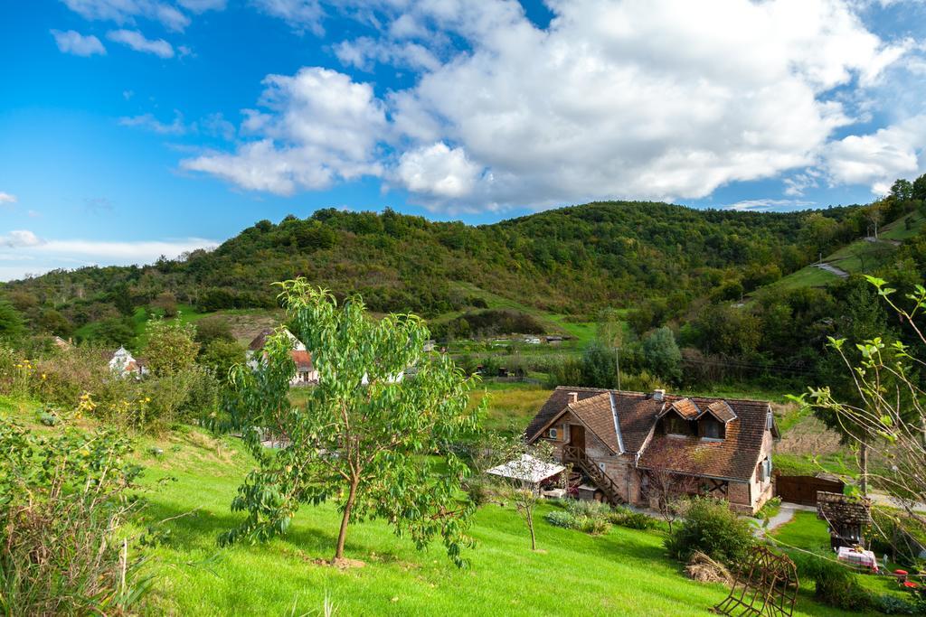 Penzion Country House "Stricev Grunt" Stara Kapela Pokoj fotografie